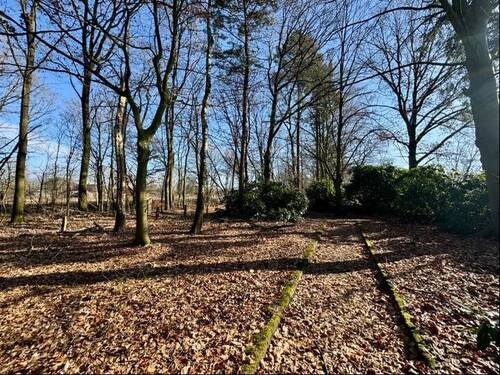 hinterer Grundstücksanteil - 