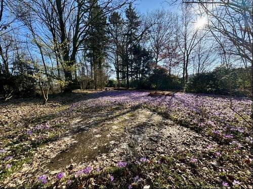 hinterer Grundstücksanteil-1 - 