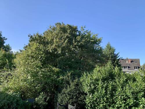Ausblick - 