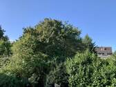 Ausblick - 