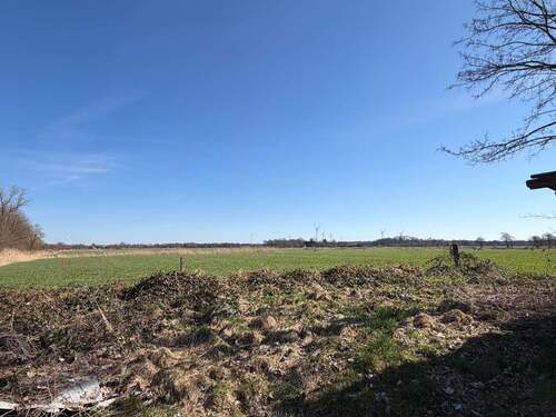 Ausblick vom Grundstück - 