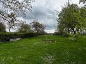Bild 11 - 