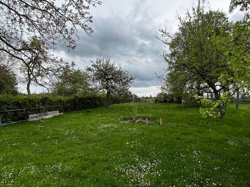 Bild 11 - 