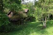 Schuppen - 