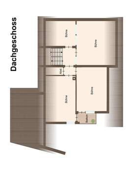 DG neu - 
