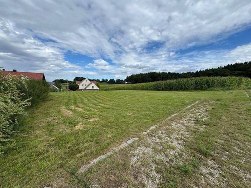 Blick aus Nord:West - Traumgrundstück am Ortsrand von Adelzhausen in unverbaubarer SüdWestlage