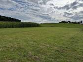 Blick nach Süd:West - Grundstück zum Kaufen in Adelzhausen
