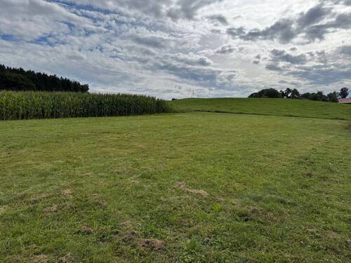 Blick nach Süd:West - Grundstück zum Kaufen in Adelzhausen