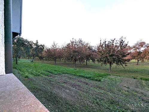 PXL 20251018 162404920 - 