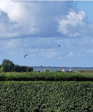Kite-Surfer auf dem Saaler Bodden - 