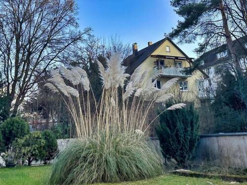 Garten - 2 Zimmer Etagenwohnung in Stuttgart