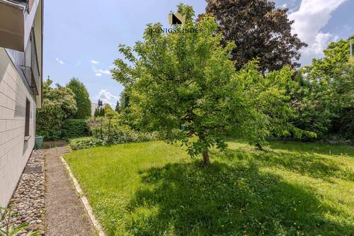 Garten - 