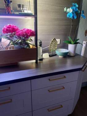 Pflanz-/Lichteinheit - 4 Zimmer Reihenmittelhaus in Wittenburg