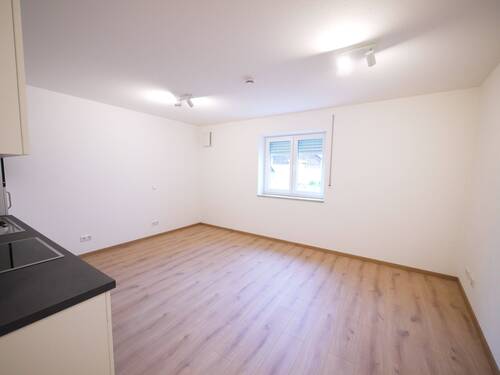 Wohnbereich - 1 Zimmer Etagenwohnung zur Miete in Dietfurt