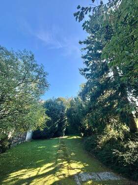 Hintere Gartenfläche - 