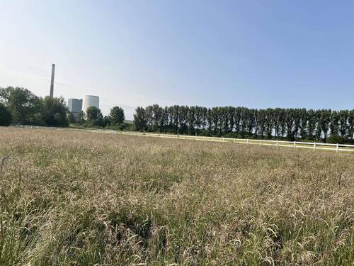 Blick in Wiesen und Felder - Doppelhaushälfte mit 230,60 m² in Werne zum Kaufen