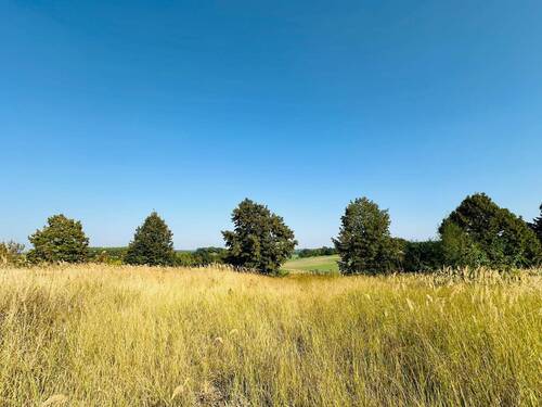 Grundstück Hinstoff-Straße - Idyllisches Baugrundstück in traumhafter Ortsrandlage mit Blick ins Grüne!
