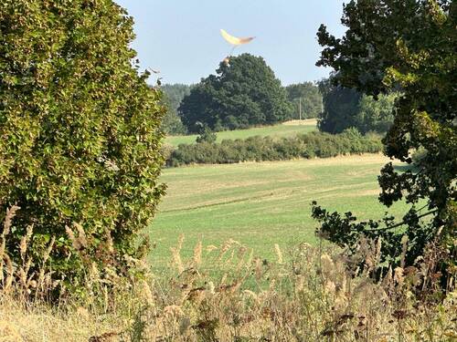 Grundstück Hinstoff-Straße - Grundstück zum Kaufen in Brüel