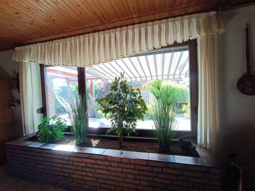 Aussicht in den Garten - 