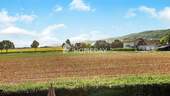 Ausblick - 
