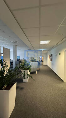 Bürofläche/Flur - 