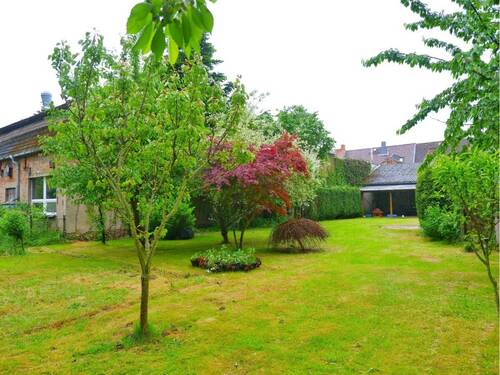 Garten Bild 2 - 