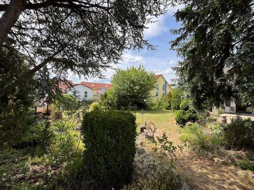 Gartenimpressionen - 