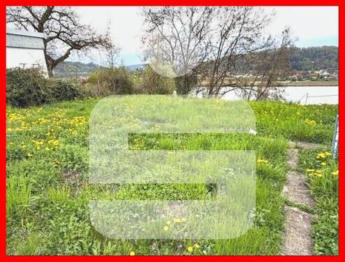 Rheinblick - Grundstück in stadtnaher Lage von Waldshut