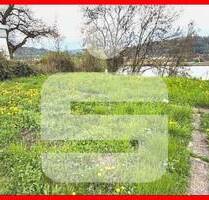 Grundstück in stadtnaher Lage von Waldshut - Waldshut-Tiengen