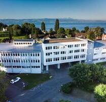Helles 2,5 Zimmer-Büro mit Gemeinschaftsküche - Langenargen