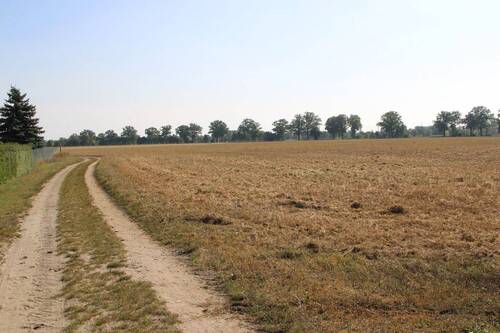 Feldblick vom Garten - 
