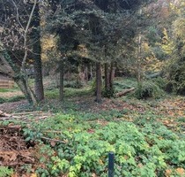 Großes Baugrundstück am Elberadweg in Pirna