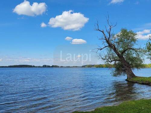 Am Trebelsee - 