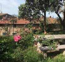 Ihr Traum vom Haus in der Toskana! - Uzzano