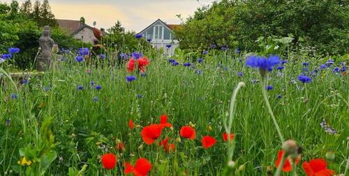 Ansicht Garten - 