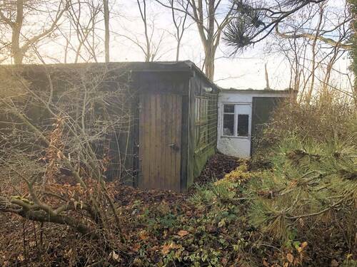 Schuppen - 