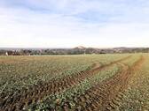 Unverbauter Blick - 