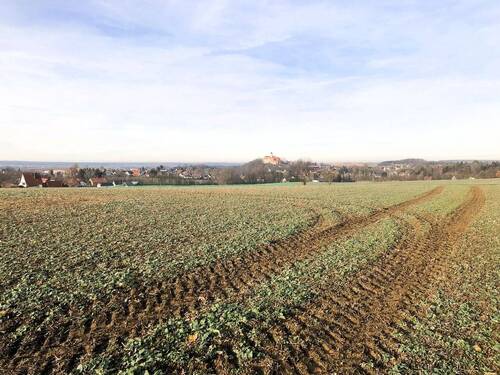 Unverbauter Blick - 