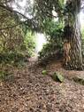 k-IMG_4727.JPG - 