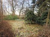 k-IMG_4740.JPG - 