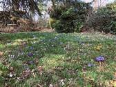 k-IMG_4838.jpg - 