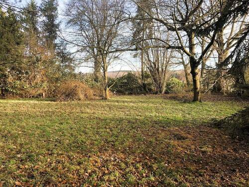 Große Wiese - 
