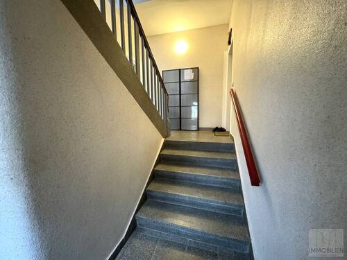 Hauseingangsbereich / Treppenaufgang zum EG - 