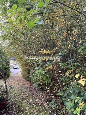 Grundstücksgrenze - 