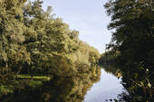 Bild 8 - 