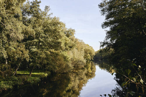 Bild 8 - 