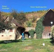 Kl. Weingut Vogtsburg-Bickensohl-Breisach + Wohnhs + Scheune + 2Rebterrassen + Löskeller + Sanierungskosten ca. 290T€ + hohes Steuersparen Denkmal - Vogtsburg im Kaiserstuhl