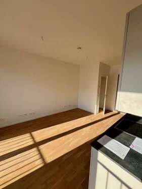2ZW11 - 