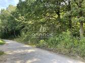 Gleich hinter dem MFH begoinnt die Natur - 