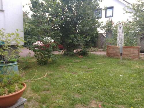 Garten hinten 1 - 